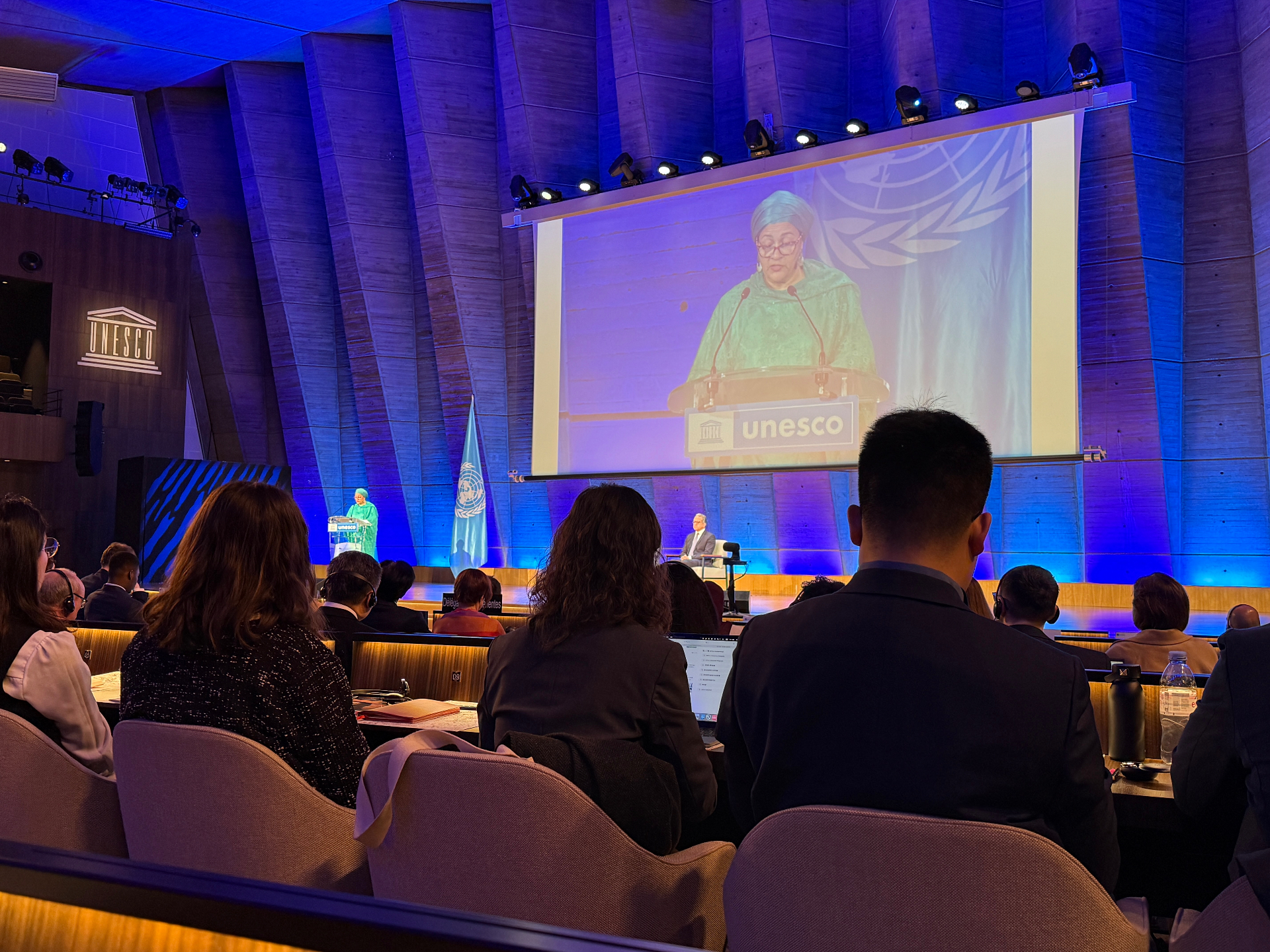 Speaker addressing the UNESCO general assembly stage